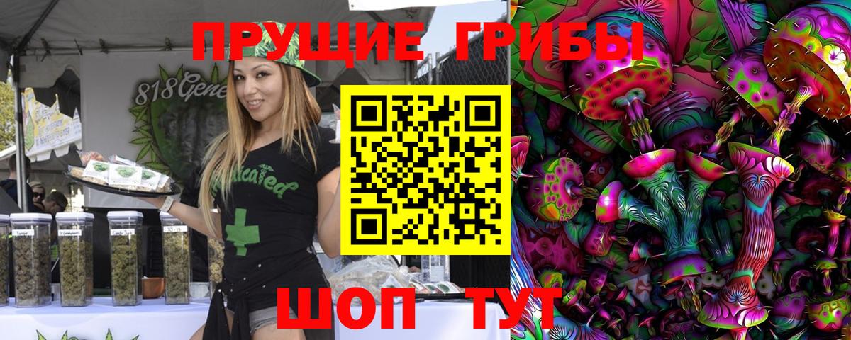 Топки  Псилоцибиновые грибы Magic Shrooms  Вход с VPN 